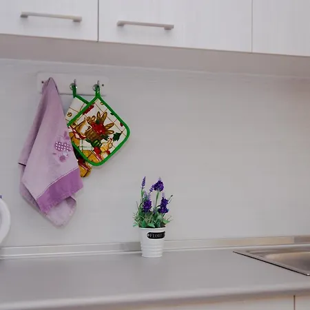 شقة St Peter & Paul At شاراكي