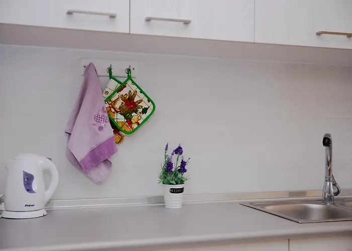 公寓 St Peter & Paul At 哈拉奇